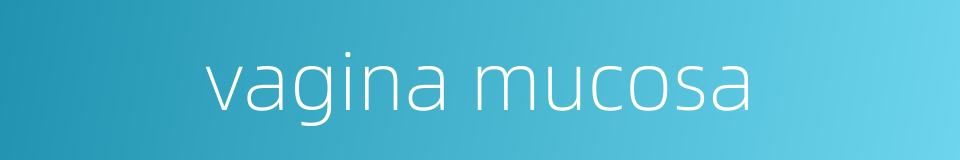 vagina mucosa的同义词