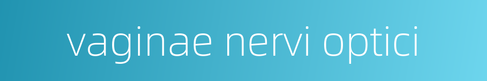 vaginae nervi optici的同义词