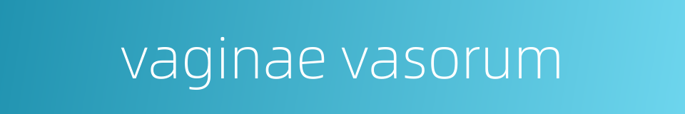 vaginae vasorum的同义词