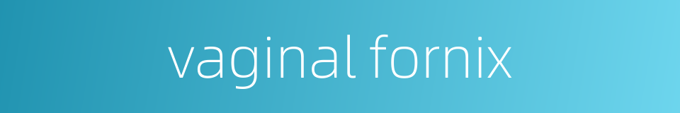 vaginal fornix的同义词