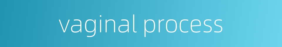 vaginal process的同义词