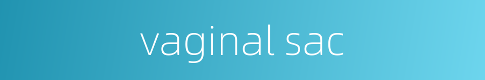 vaginal sac的同义词