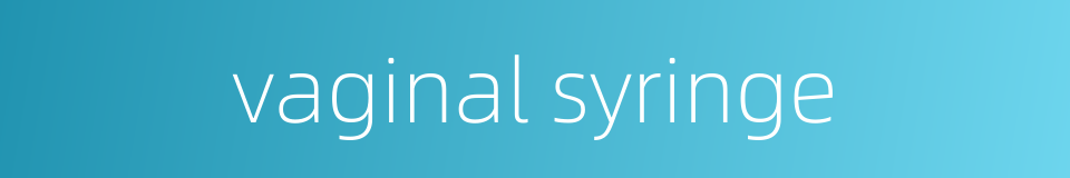 vaginal syringe的同义词