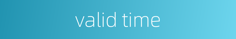 valid time的同义词