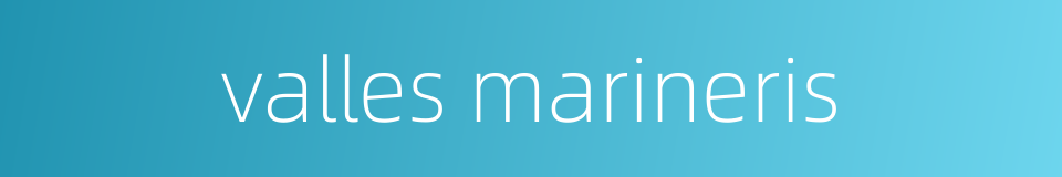 valles marineris的同义词