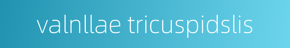 valnllae tricuspidslis的同义词