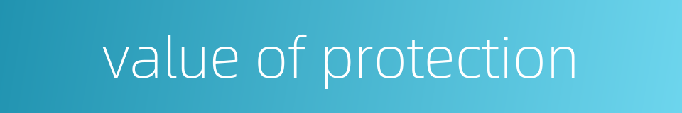 value of protection的同义词