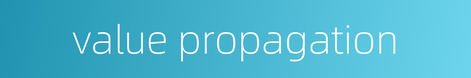 value propagation的同义词
