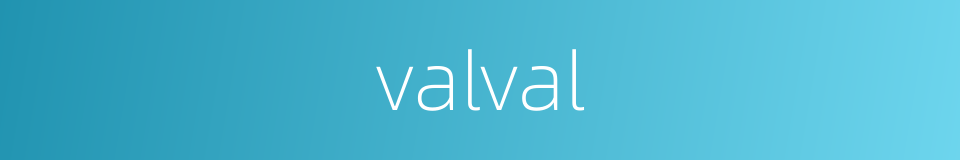 valval的同义词