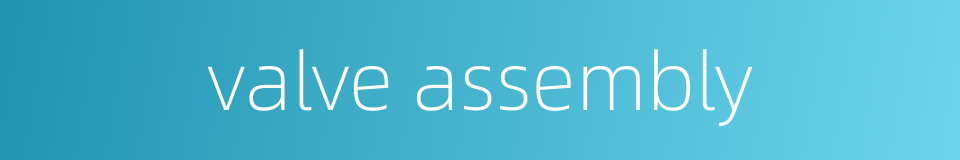 valve assembly的同义词