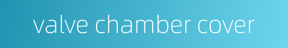 valve chamber cover的同义词