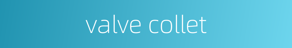 valve collet的同义词
