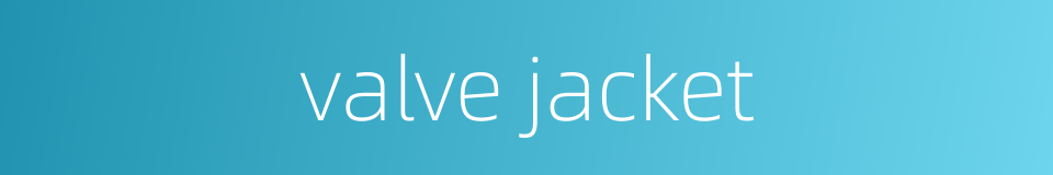valve jacket的同义词
