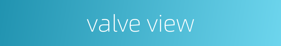 valve view的同义词