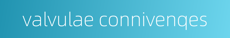 valvulae connivenqes的同义词