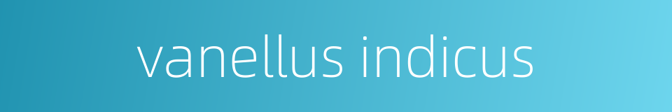vanellus indicus的同义词