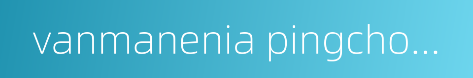 vanmanenia pingchowensis的同义词