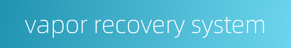 vapor recovery system的同义词