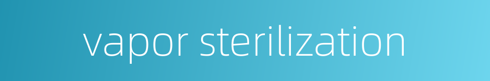 vapor sterilization的同义词