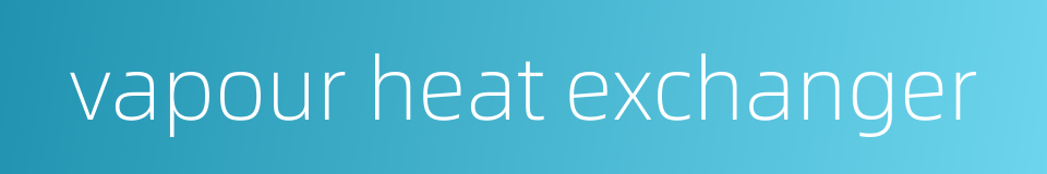 vapour heat exchanger的同义词