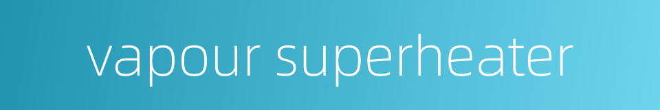vapour superheater的同义词