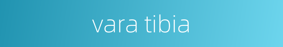 vara tibia的同义词