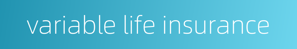 variable life insurance的同义词