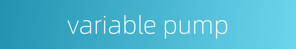 variable pump的同义词
