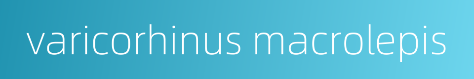 varicorhinus macrolepis的同义词