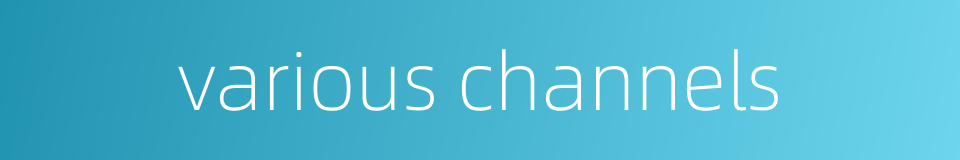 various channels的同义词