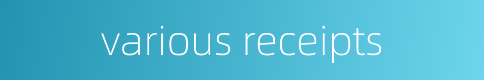 various receipts的同义词