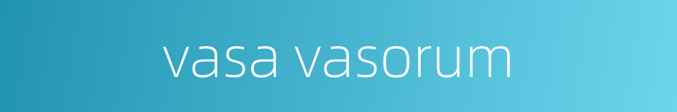 vasa vasorum的同义词