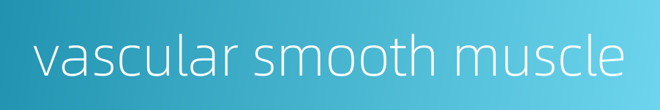 vascular smooth muscle的同义词