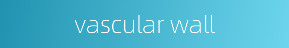vascular wall的同义词