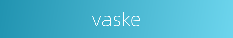 vaske的同义词