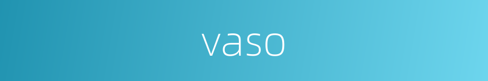 vaso的同义词