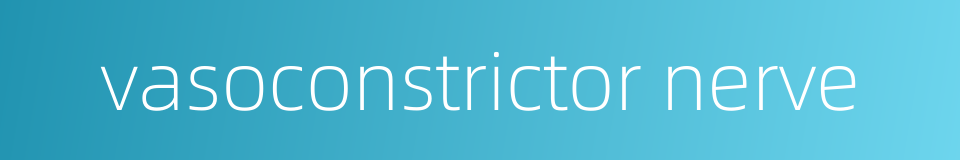 vasoconstrictor nerve的同义词
