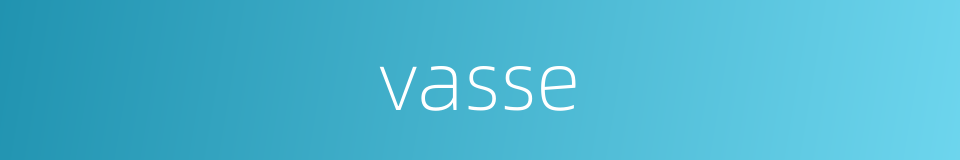vasse的同义词
