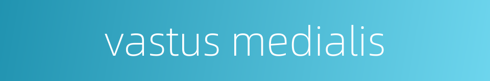 vastus medialis的同义词