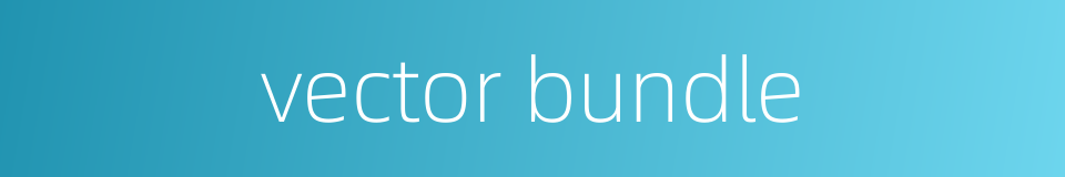 vector bundle的同义词
