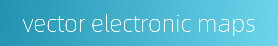 vector electronic maps的同义词