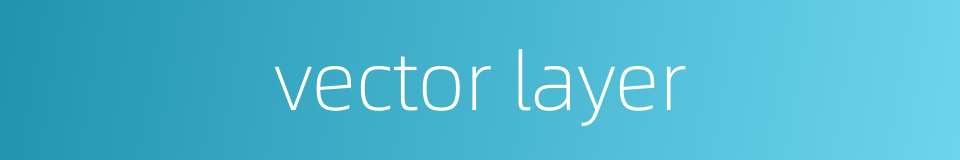 vector layer的同义词