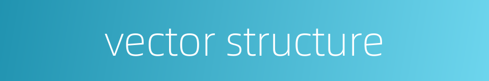 vector structure的同义词