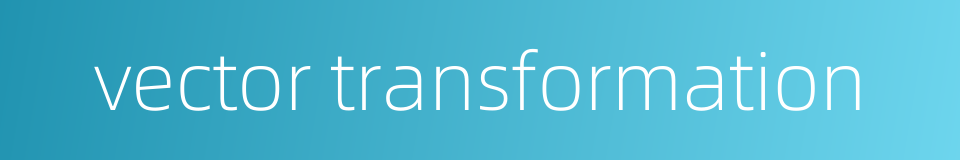 vector transformation的同义词