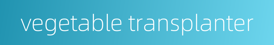 vegetable transplanter的同义词