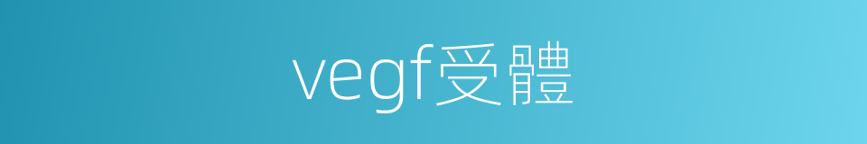 vegf受體的同義詞