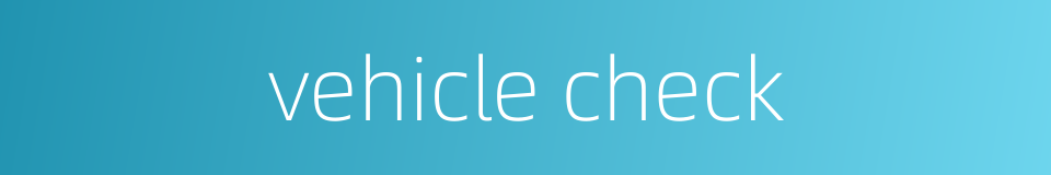 vehicle check的同义词