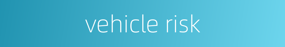 vehicle risk的同义词