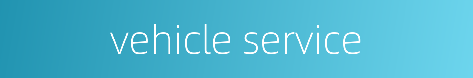 vehicle service的同义词