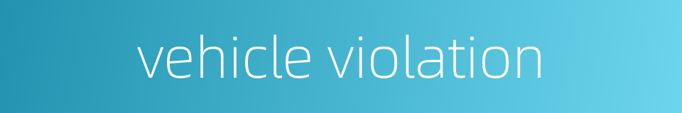 vehicle violation的同义词